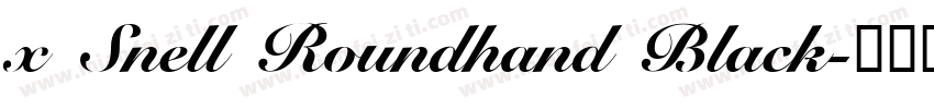 x Snell Roundhand Black字体转换